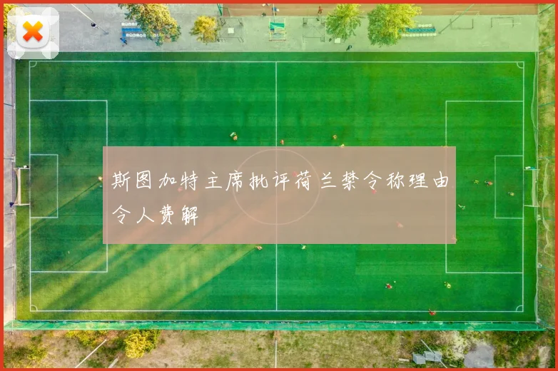 斯图加特主席批评荷兰禁令称理由令人费解